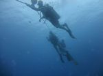 Hawaii Scuba divng 07