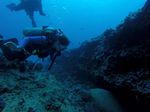 Hawaii Scuba divng 11