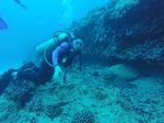 Hawaii Scuba divng 12