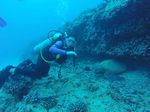 Hawaii Scuba divng 13