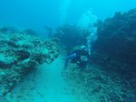 Hawaii Scuba divng 15