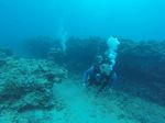 Hawaii Scuba divng 16
