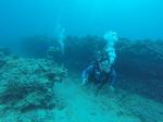 Hawaii Scuba divng 17