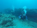 Hawaii Scuba divng 18