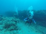 Hawaii Scuba divng 19