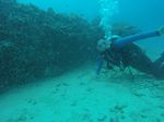 Hawaii Scuba divng 01