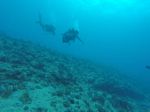 Hawaii Scuba divng 21