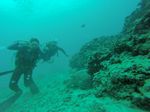 Hawaii Scuba divng 23