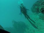 Hawaii Scuba divng 25