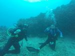 Hawaii Scuba divng 26