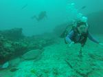 Hawaii Scuba divng 36