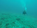 Hawaii Scuba divng 39