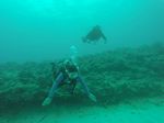 Hawaii Scuba divng 03