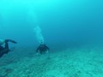 Hawaii Scuba divng 42