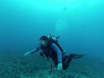 Hawaii Scuba divng 43