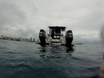 Hawaii Scuba divng 51