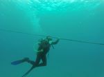 Hawaii Scuba divng 59