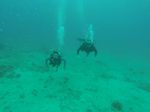 Hawaii Scuba divng 68