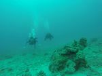 Hawaii Scuba divng 69