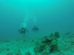 Hawaii Scuba divng 70