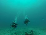 Hawaii Scuba divng 73