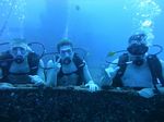 Hawaii Scuba divng 12