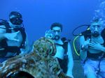 Hawaii Scuba divng 27