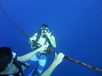 Hawaii Scuba divng 35