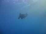 Hawaii Scuba divng 43