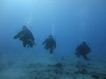 Hawaii Scuba divng 45