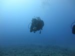 Hawaii Scuba divng 46