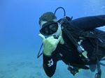 Hawaii Scuba divng 47