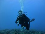 Hawaii Scuba divng 49