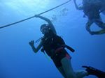 Hawaii Scuba divng 13