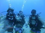 Hawaii Scuba divng 15