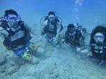 Hawaii Scuba divng 16