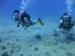 Hawaii Scuba divng 18