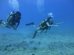 Hawaii Scuba divng 19