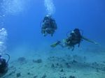 Hawaii Scuba divng 20