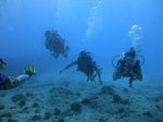 Hawaii Scuba divng 21