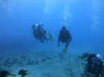 Hawaii Scuba divng 22