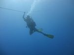 Hawaii Scuba divng 28