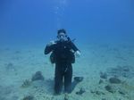 Hawaii Scuba divng 29