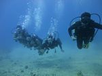 Hawaii Scuba divng 33