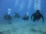 Hawaii Scuba divng 34