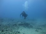 Hawaii Scuba divng 36