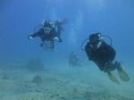 Hawaii Scuba divng 47