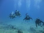 Hawaii Scuba divng 53