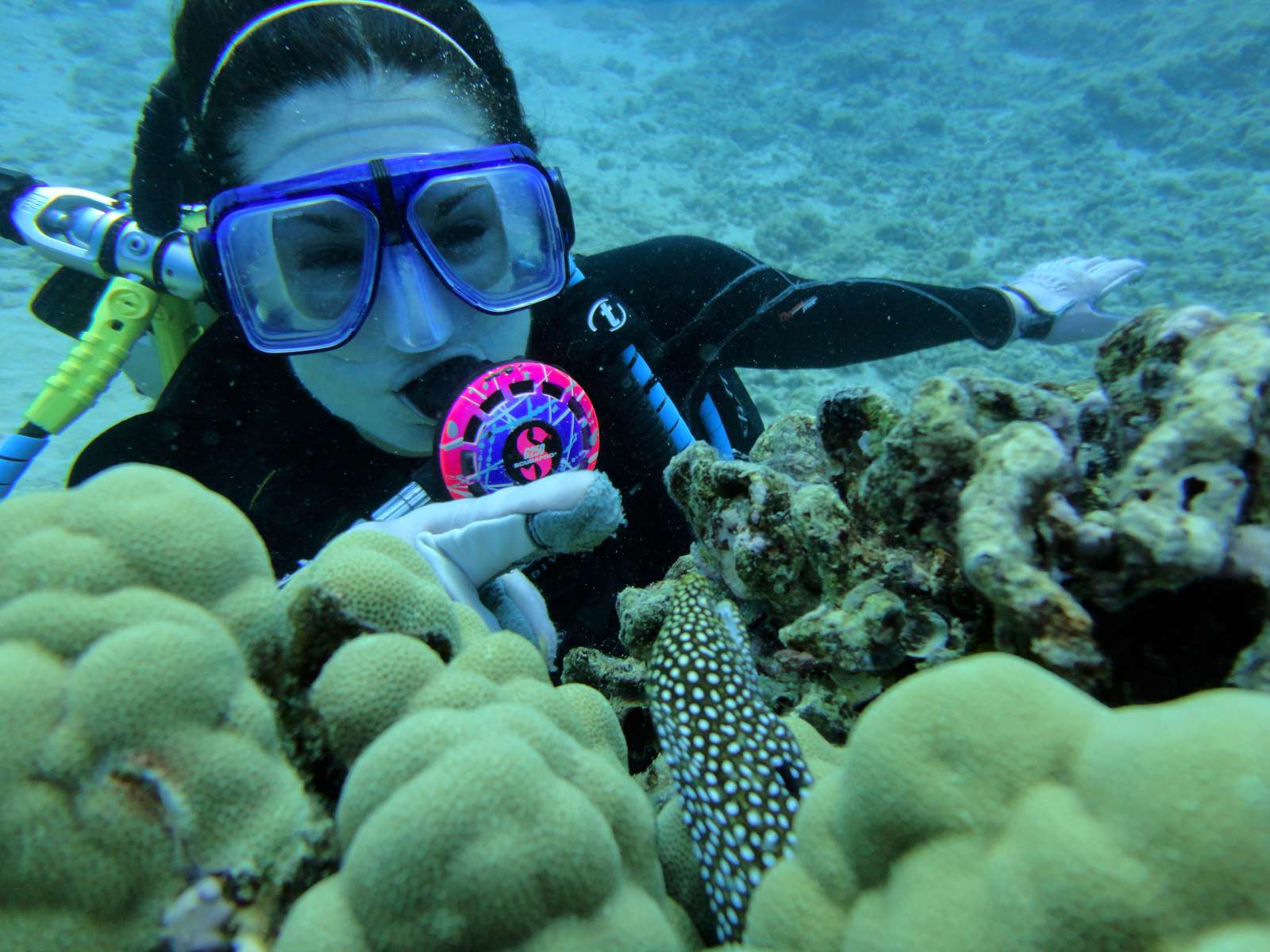 Scuba Diving Hawaii 10222013 130 pm Dive Tour