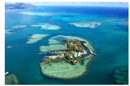 Marine Biology, Conservation research, Marine Science